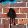 wallsm